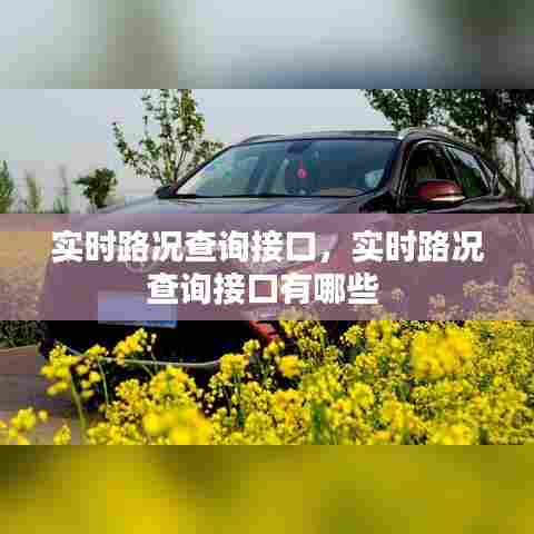 实时路况查询接口，实时路况查询接口有哪些 
