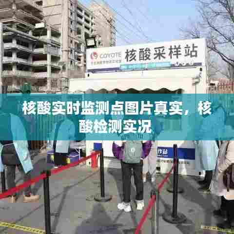 核酸实时监测点图片真实，核酸检测实况 