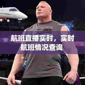 航班直播实时，实时航班情况查询 