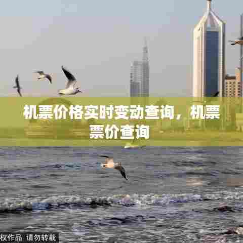 机票价格实时变动查询，机票票价查询 