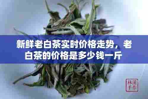 新鲜老白茶实时价格走势，老白茶的价格是多少钱一斤 
