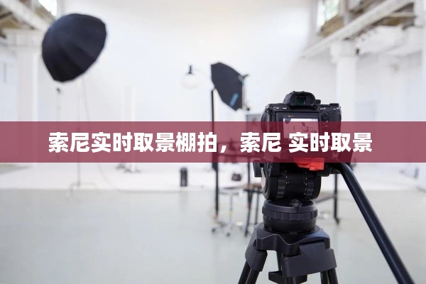 张弓拔弩 第7页