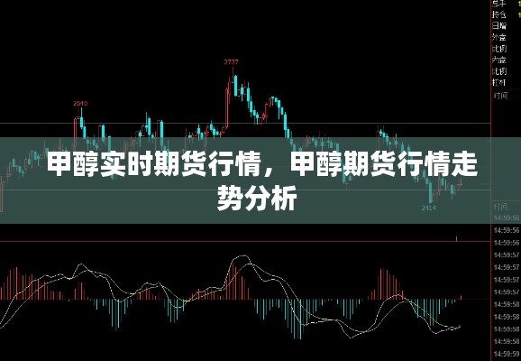 一席之地 第6页