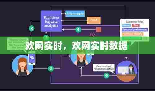 欢网实时，欢网实时数据 
