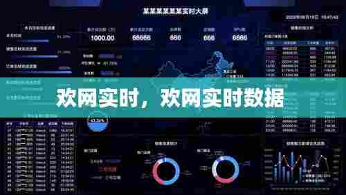 欢网实时,欢网实时数据