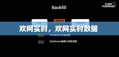 欢网实时,欢网实时数据