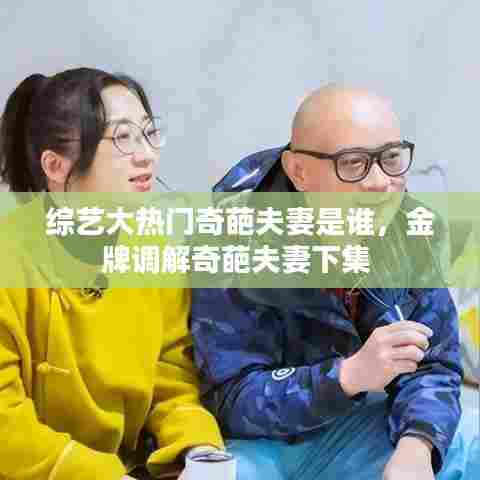 综艺大热门奇葩夫妻是谁,金牌调解奇葩夫妻下集