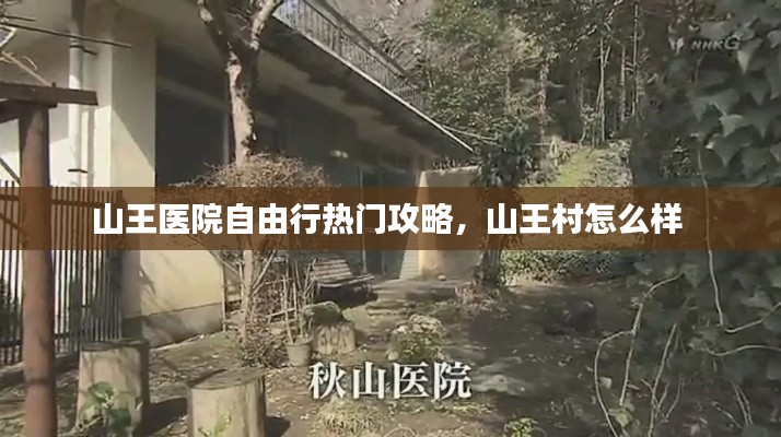山王医院自由行热门攻略，山王村怎么样 