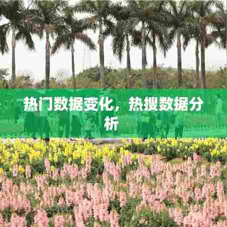 热门数据变化，热搜数据分析 