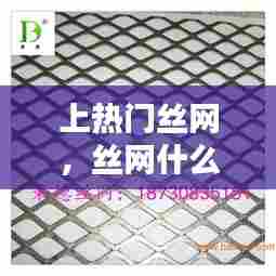 上热门丝网,丝网什么牌子好