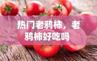 热门老鸦柿，老鸦柿好吃吗 