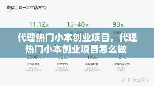 代理热门小本创业项目,代理热门小本创业项目怎么做