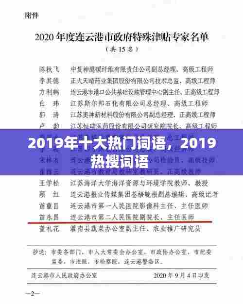 2019年十大热门词语，2019热搜词语 