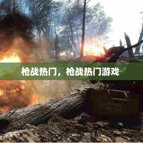 枪战热门，枪战热门游戏 