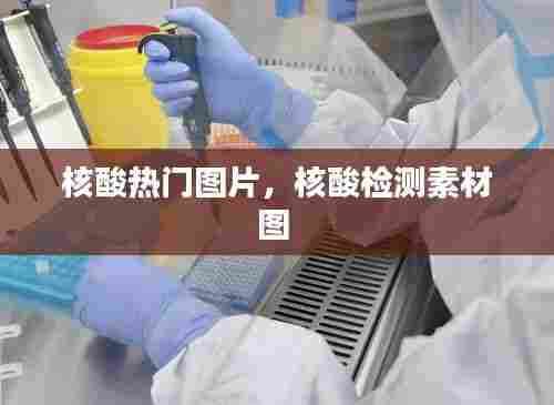 核酸热门图片,核酸检测素材图