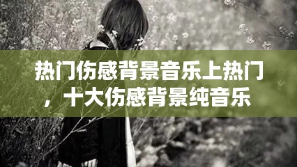 热门伤感背景音乐上热门，十大伤感背景纯音乐 