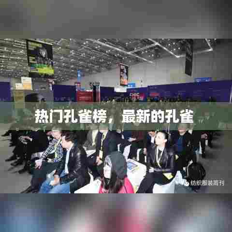 热门孔雀榜，最新的孔雀 