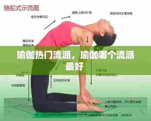 瑜伽热门流派，瑜伽哪个流派最好 