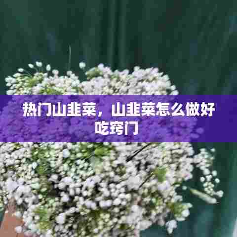 热门山韭菜，山韭菜怎么做好吃窍门 