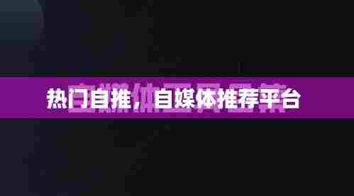 热门自推，自媒体推荐平台 