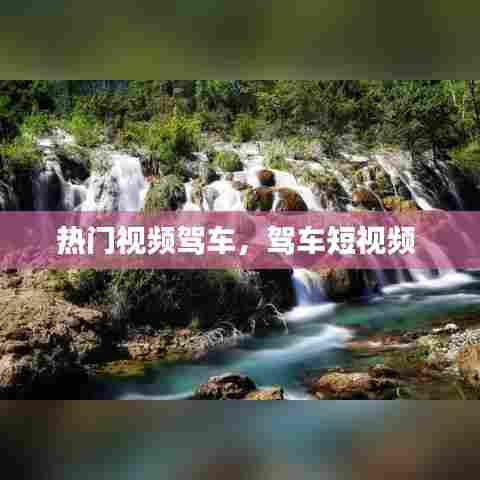 热门视频驾车,驾车短视频