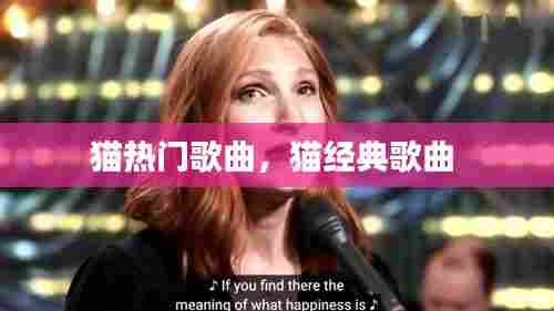 猫热门歌曲,猫经典歌曲