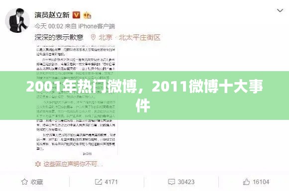2001年热门微博，2011微博十大事件 