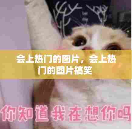 会上热门的图片，会上热门的图片搞笑 