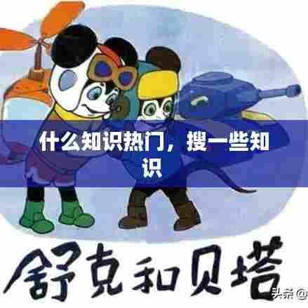 什么知识热门,搜一些知识