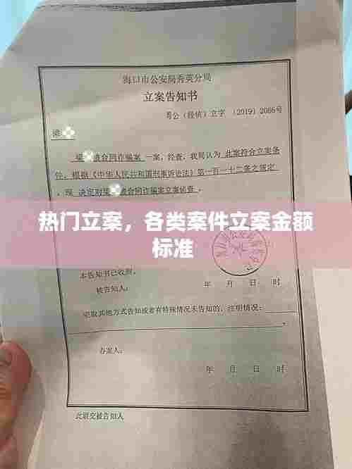 热门立案，各类案件立案金额标准 