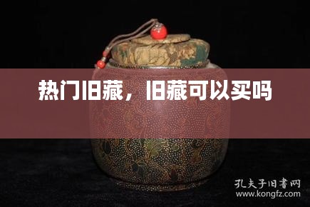 马马虎虎 第7页