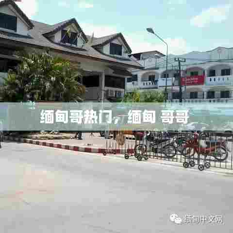 缅甸哥热门，缅甸 哥哥 