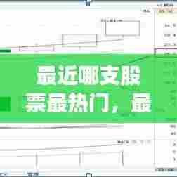 最近哪支股票最热门，最近哪只股票比较火 