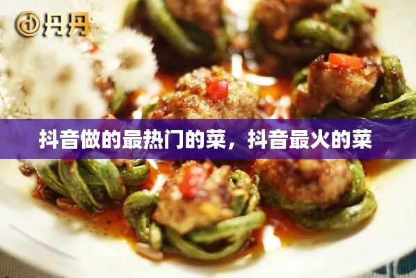 抖音做的最热门的菜,抖音最火的菜
