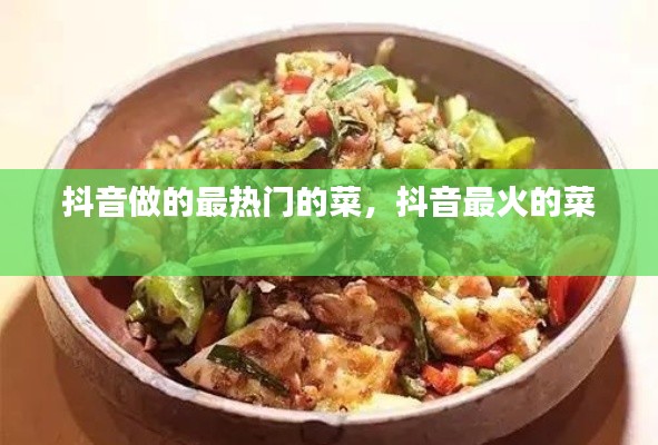 抖音做的最热门的菜,抖音最火的菜