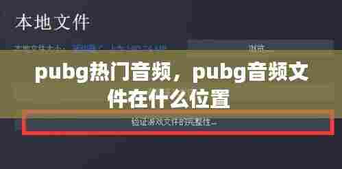 pubg热门音频，pubg音频文件在什么位置 