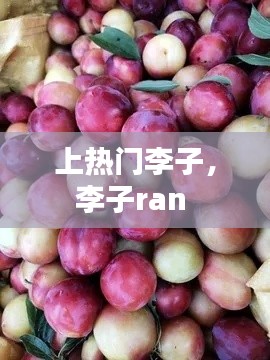 上热门李子,李子ran