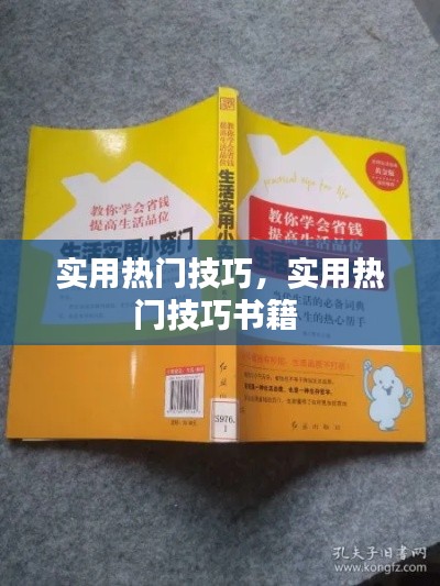 实用热门技巧，实用热门技巧书籍 