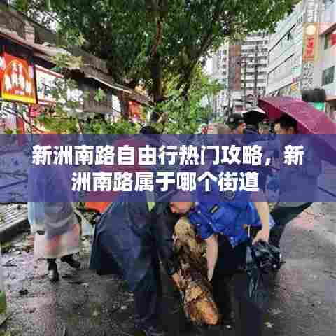 新洲南路自由行热门攻略，新洲南路属于哪个街道 