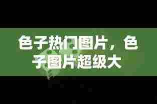 色子热门图片,色子图片超级大