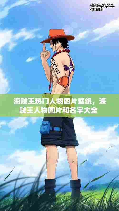 海贼王热门人物图片壁纸，海贼王人物图片和名字大全 