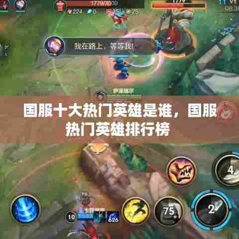 国服十大热门英雄是谁，国服热门英雄排行榜 