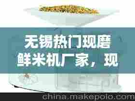 无锡热门现磨鲜米机厂家，现磨米机器多少钱一台 