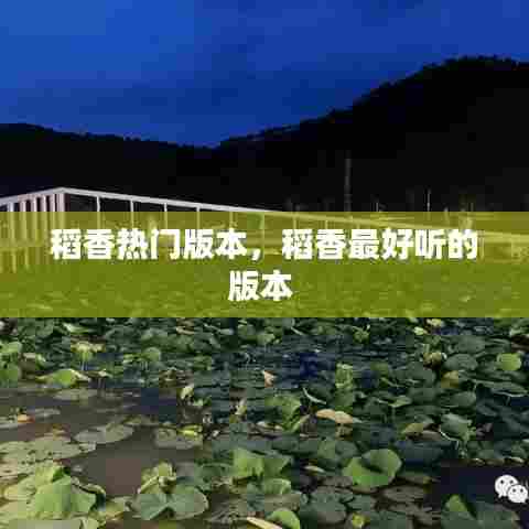 稻香热门版本,稻香最好听的版本