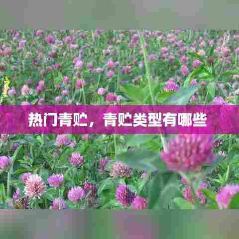 热门青贮，青贮类型有哪些 