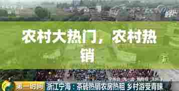 农村大热门,农村热销