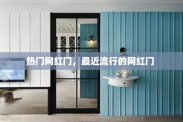 热门网红门,最近流行的网红门