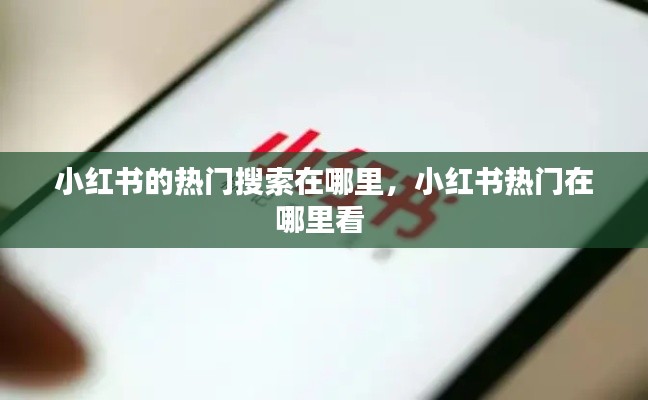 小红书的热门搜索在哪里,小红书热门在哪里看