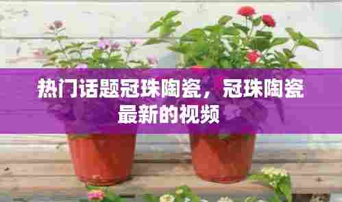 热门话题冠珠陶瓷，冠珠陶瓷最新的视频 