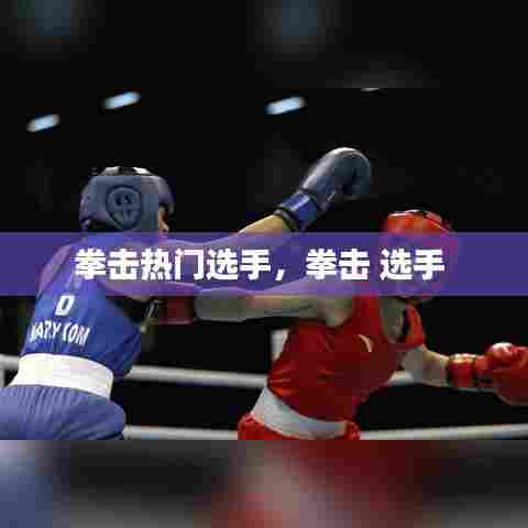拳击热门选手，拳击 选手 